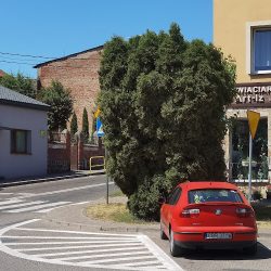 Brzezińska Grażyna. Kwiaciarnia (Górzno )
