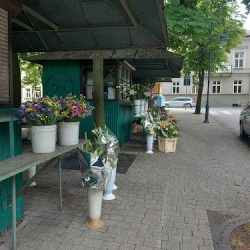 Budki Z Kwiatami. Kwiaciarnia (Piotrków Trybunalski )
