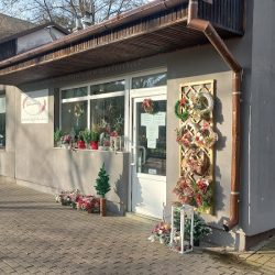 Bukieciarnia Agi (Mielec )