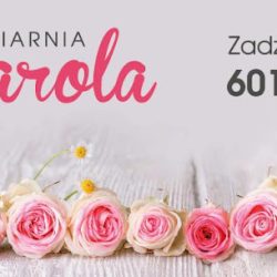 Bukieciarnia Decarola Karolina Bąk (Celestynów )