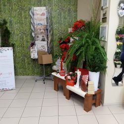 Bukieciarnia Katarzyna Malik (Jaworzno )