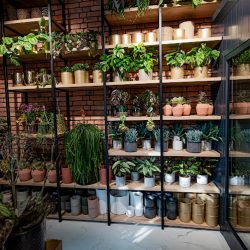 Bukieciarnia Lublin - Galeria Diamentowa (Lublin )