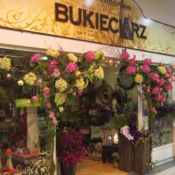 Bukieciarz (Bolesławiec )