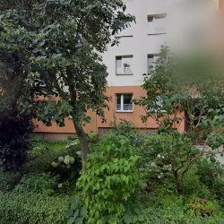 Bukiecik. Kwiaciarnia (Radom )