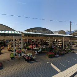 Bukiety Znicze (Kalisz en Merlo San Luis)