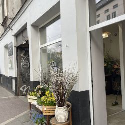 Burza KwiatÓw (Kraków )