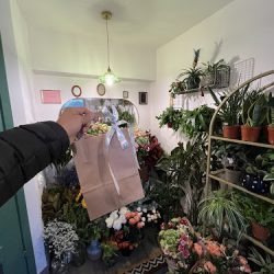 Busz I Susz Pracownia Florystyczna (Iława )