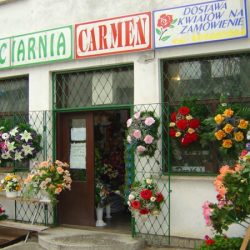 Carmen. Kwiaciarnia. Bączkowska Małgorzata (Kraśnik en Merlo San Luis)