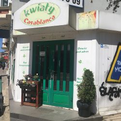Casablanca. Kwiaciarnia. Stachyra K. (Wrocław )