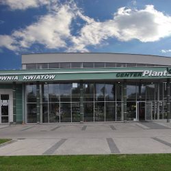 Center-plant. Hurtownia Kwiatów Sztucznych I Doniczkowych (Zamość )