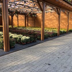 Centrum Kwiatowe RÓŻa (Bielsko-Biała )