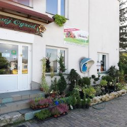 Centrum Ogrodnicze Acer. Projektowanie I Realizacja Ogrodów. Producent Podłoży Ogrodniczych. (Komarów-Wieś en Merlo San Luis)