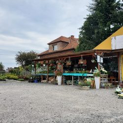 Centrum Ogrodnicze Alborg (Targowisko )
