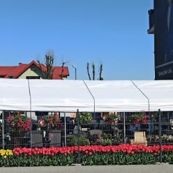 Centrum Ogrodnicze Antoszak (Tomaszów Lubelski en Merlo San Luis)