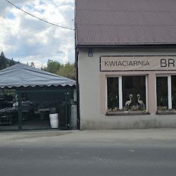 Centrum Ogrodnicze Brzoza Kwiaciarnia (Ujsoły )