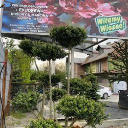 Centrum Ogrodnicze Ekodrew - Rośliny U Marcina (Jerzmanowice )