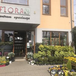 Centrum Ogrodnicze Flora - Marzena Fabisiak-nowotczyńska (Mława )