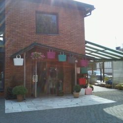 Centrum Ogrodnicze-kwiaciarnia 'beniko' (Brzeziny )
