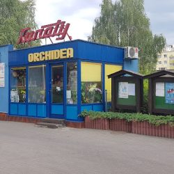 Centrum Ogrodnicze Kwiaciarnia Orchidea (Piła )