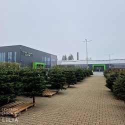 Centrum Ogrodnicze „lilia” (Wieluń )