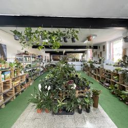 Centrum Ogrodnicze Silesia (Katowice )