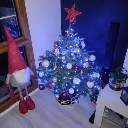 Centrum Ogrodniczr E-vita (Gniezno en Merlo San Luis)