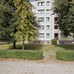 Centrum Wielobranżowe Pracownia Florystyczna Ewelina Weronika Jackiewicz (Dąbrowa Białostocka )