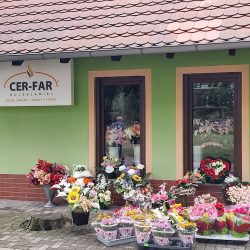 Cer-far Boleslawiec (Lubsko )