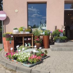 Chmieleńska Pracownia Florystyczna (Chmielno )