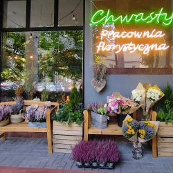 Chwasty Pracownia Florystyczna / Kwiatomat 24h (Zakopane )