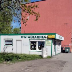 Cieśla Jolanta. Kwiaciarnia (Katowice )