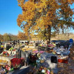 Cmentarz Parafialny W Wawrzeńczycach (Wawrzeńczyce )