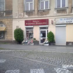 Corso. Kwiaciarnia (Radom )