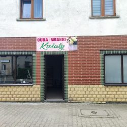 Cuda Wianki (Olszyna )