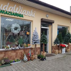 Cuda Wianki Kwiaciarnia (Topólka )