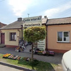 Cuda Wianki Kwiaciarnia (Jedlińsk )
