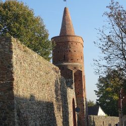 Cyklamen. Kwiaciarnia. Wojciechowski F. (Strzelce Krajeńskie )