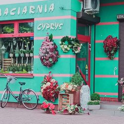 Cyprys Kwiaciarnia (Białystok )