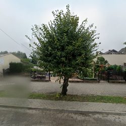 Czarnecka Irena. Kwiaciarnia (Skulsk en Merlo San Luis)