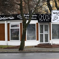 Czary Mary Kwiaty (Radom )