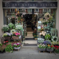 D3 Art Nature Design (Katowice )