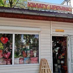 Dalia. Kwiaciarnia. Janda B. (Głubczyce en Merlo San Luis)
