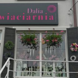 Dalia. Kwiaciarnia (Grodzisk Mazowiecki )