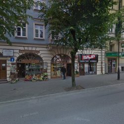 Danusia. Kwiaciarnia. Sinocha H. (Ełk )