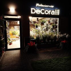 Decoralli Kwiaciarnia, Upominki, Biżuteria Mosina (Krosno en Merlo San Luis)