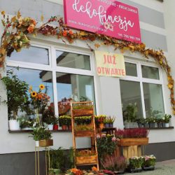 Deko-finezja (Rzeszotary )