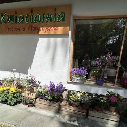 Dekoracje Sylwia Florystyka I Dekoracje Sylwia Makoś (Maków Podhalański )