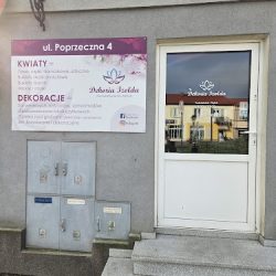 Dekoria Izolda (Międzyrzec Podlaski en Merlo San Luis)