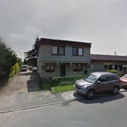 Dereń. Kwiaciarnia. Dereń T. (Niechanowo en Merlo San Luis)