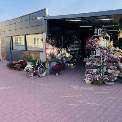 Dereś - Kwiaty, Wiązanki I Znicze. (Stare Babice )